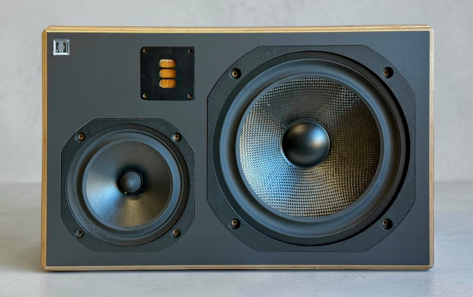 MAD professional monitor showing visible drivers and cabinet layers